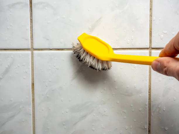 Mold Removal and Inspection in New Baden, IL