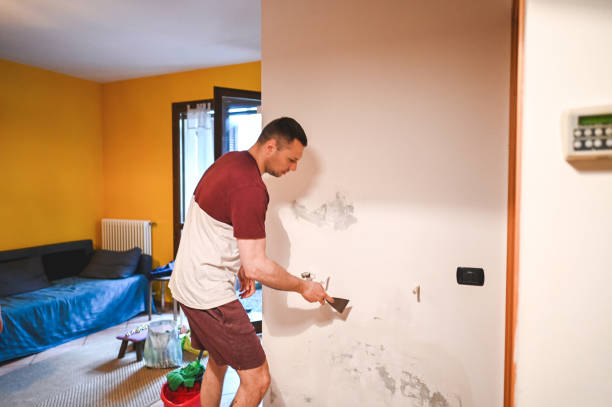 Best Mold Damage Repair  in New Baden, IL